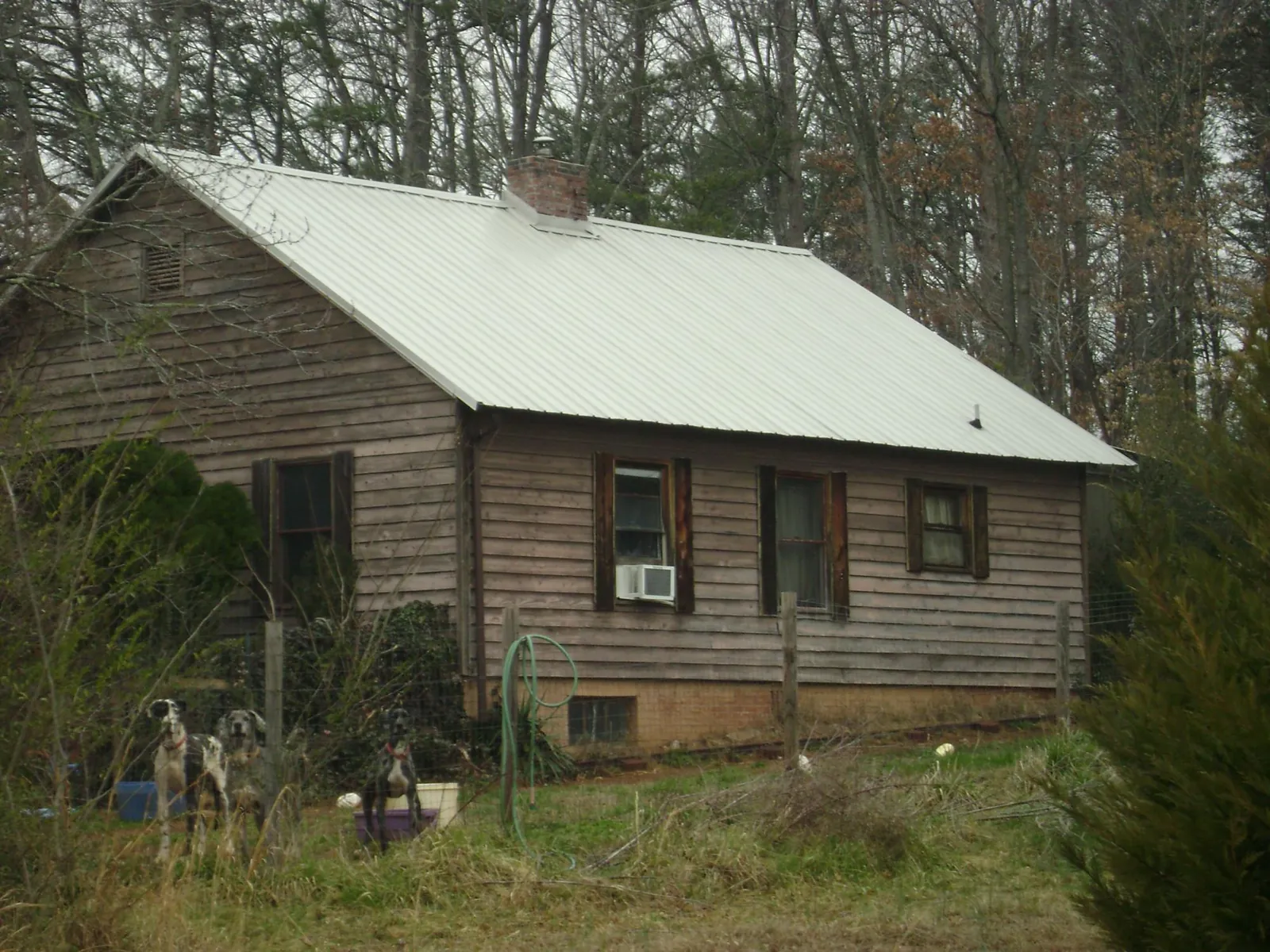 White metal roof on an old wood sided farmhouse, from a Asphalt Shingle Roof Repair job in Harleyville
